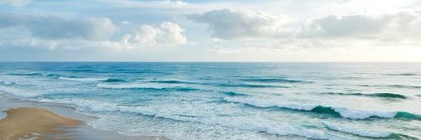 Pennstategal Profile Banner