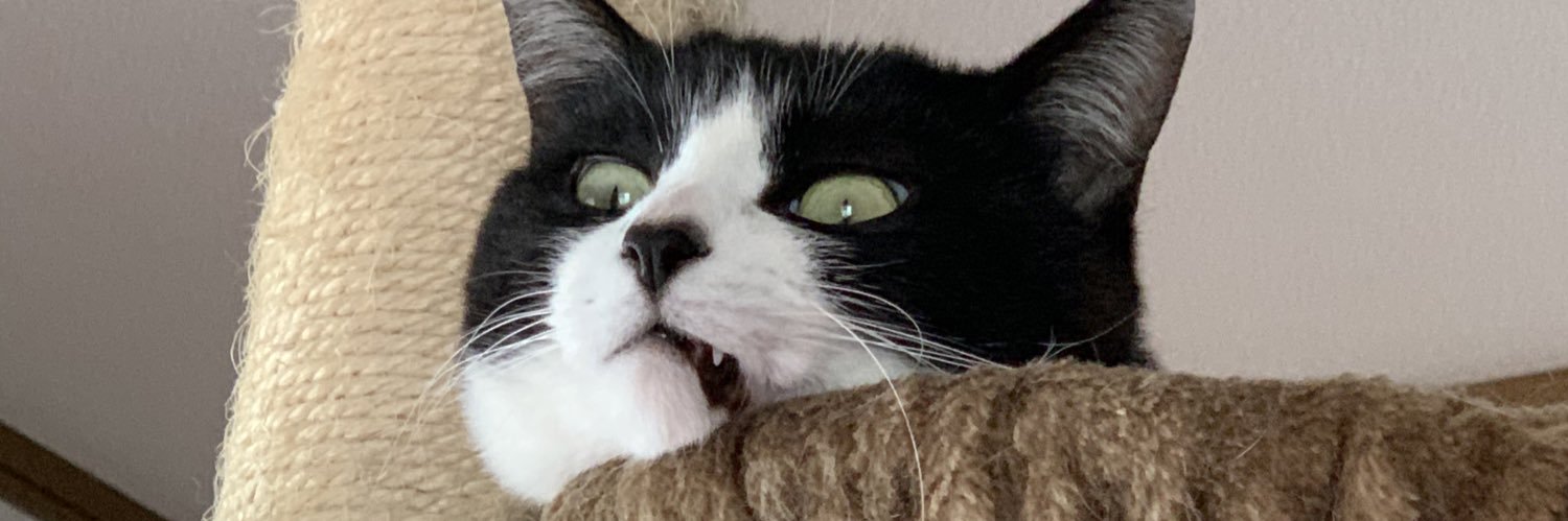 poco_monst1105's profile banner image
