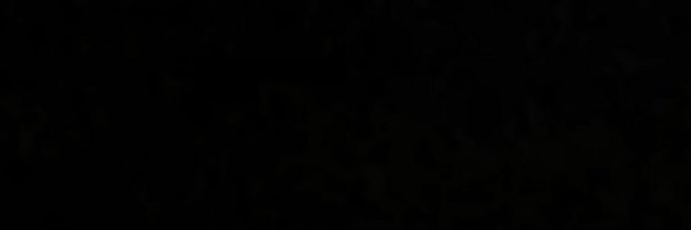 Fashoxx's profile banner image