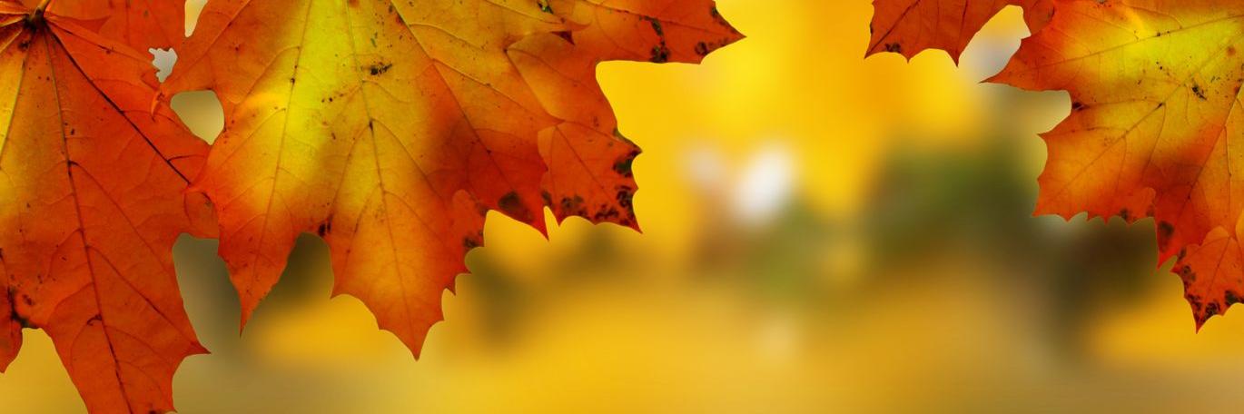 davidgocastro's profile banner image