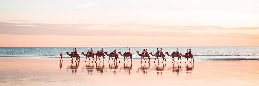 أحمــد. banner