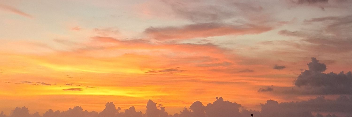 arasani_'s profile banner image