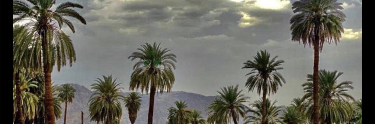 escayf's profile banner image
