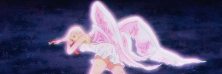 back22venus's profile banner image