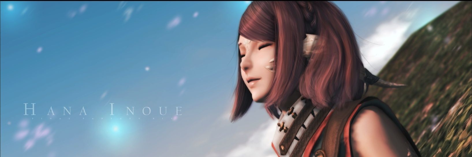 Noctlyn's profile banner image