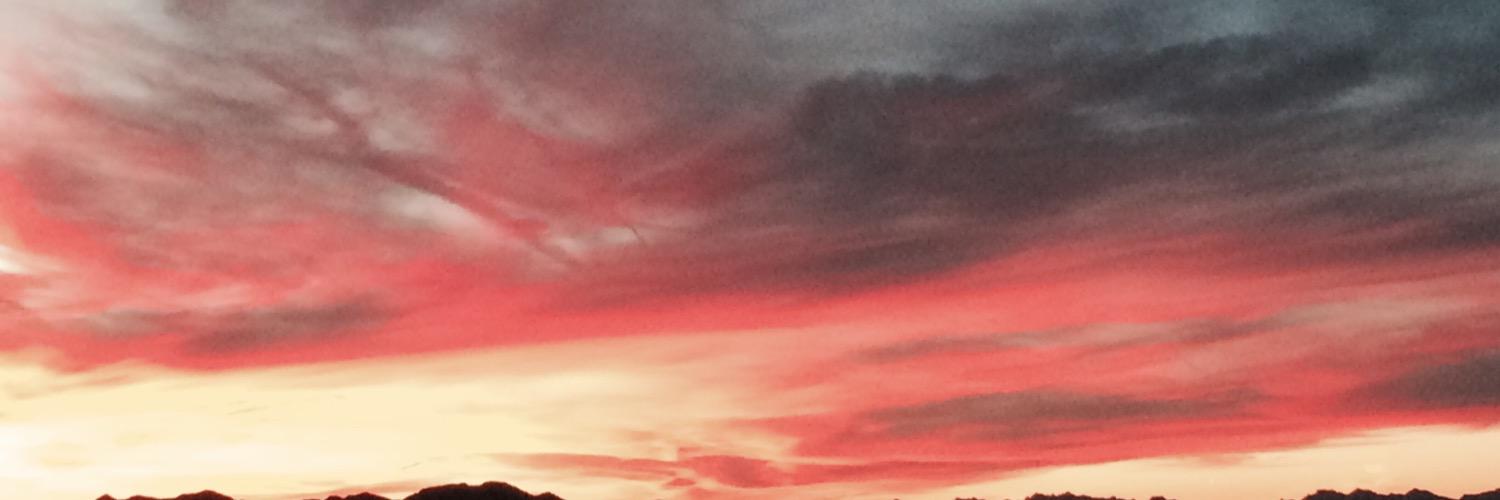 ColleenJanus's profile banner image