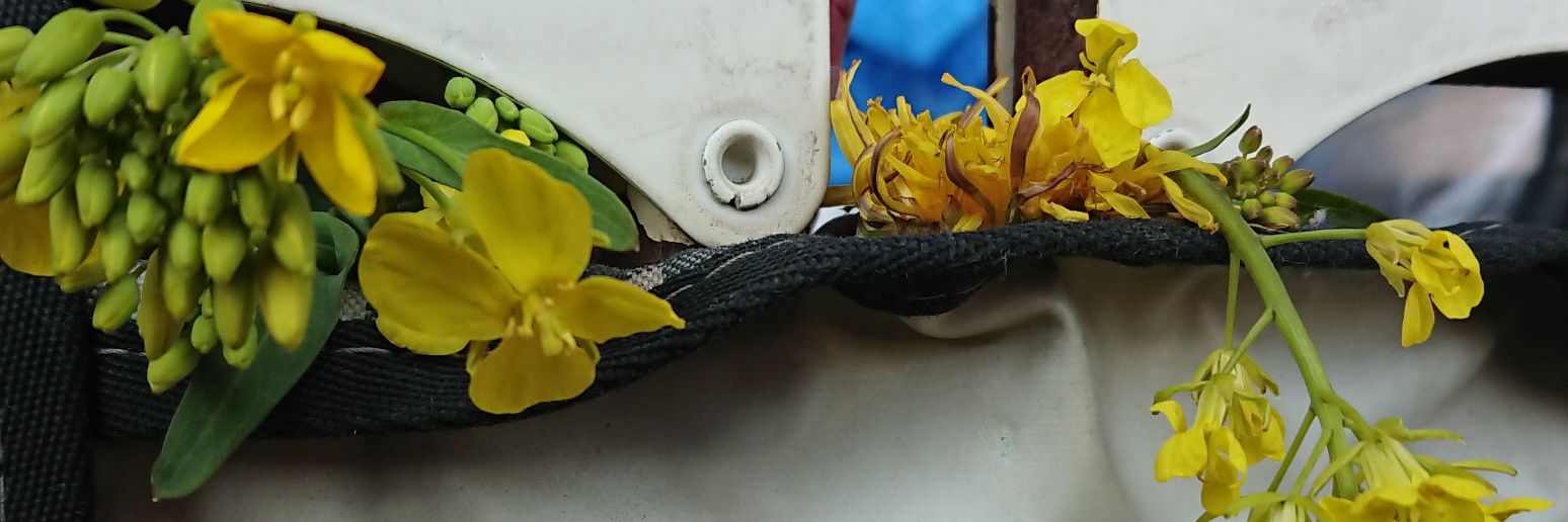 sc100301's profile banner image