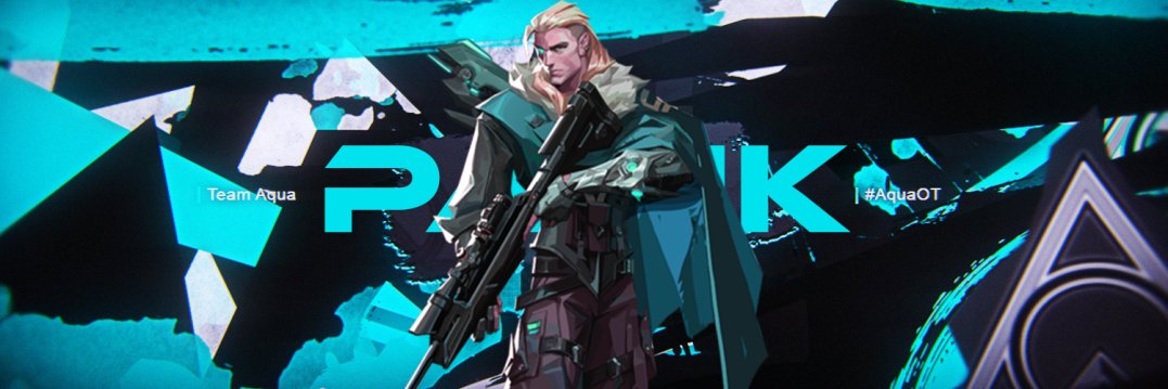 Panikcsgo's profile banner image