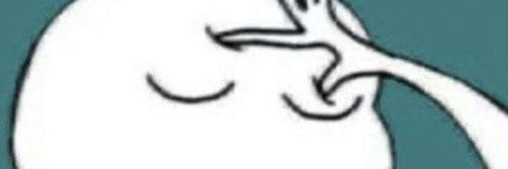 begumovic's profile banner image