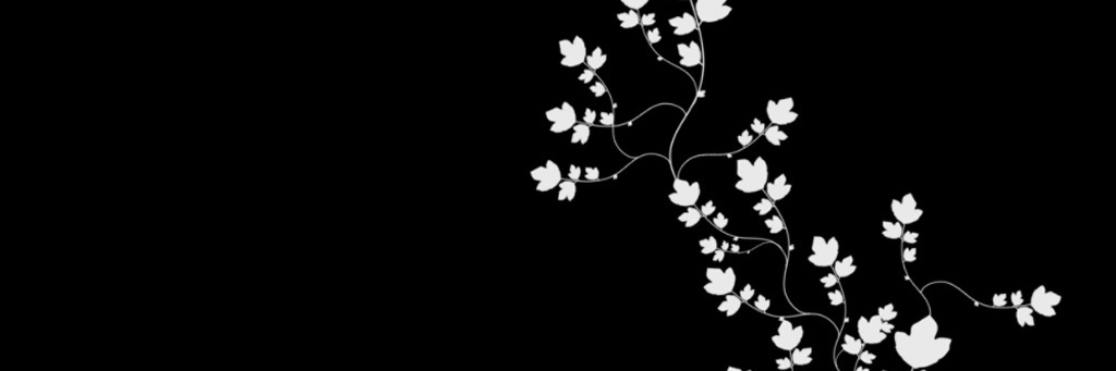 sahharo's profile banner image
