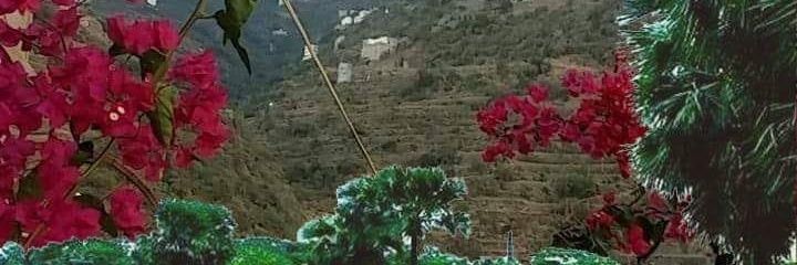 ahmaddei's profile banner image