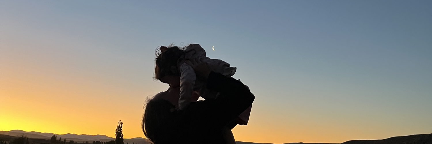 Fritzluzz's profile banner image