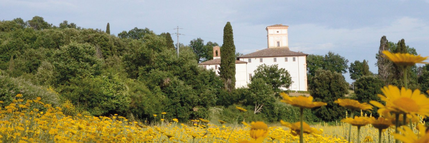 Kemon España banner