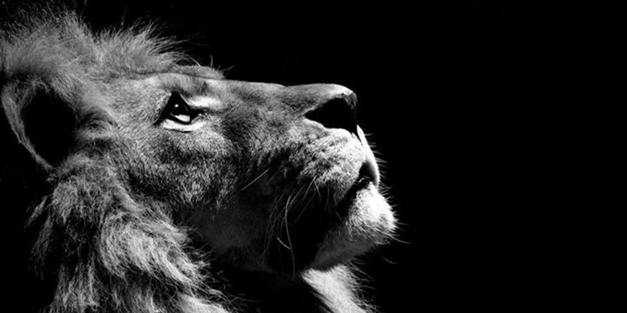 BrainoTheMaino's profile banner image