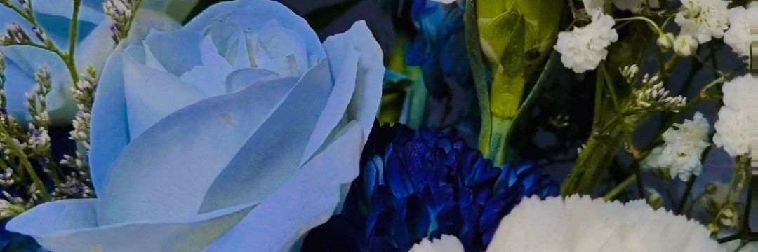 naftaghaniyu's profile banner image