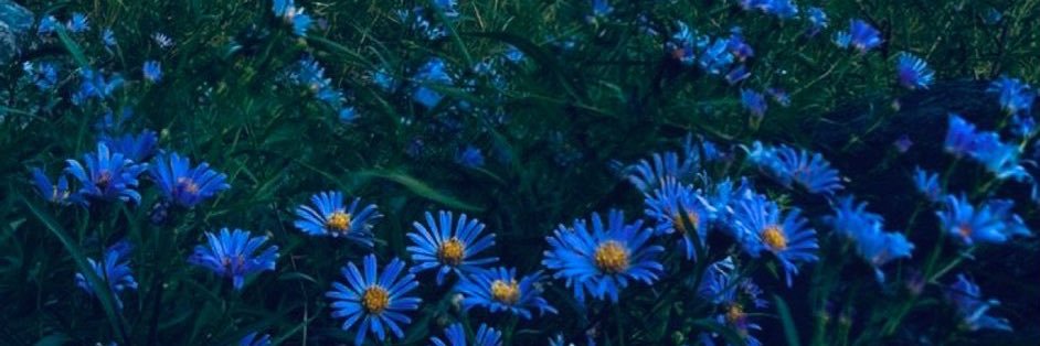 Raqueeel__18's profile banner image
