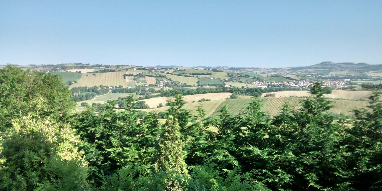 Danilo Cason banner
