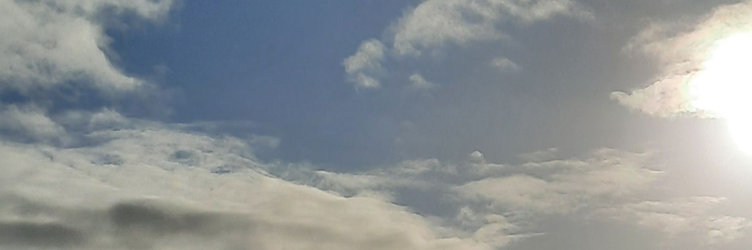 molaarakker's profile banner image