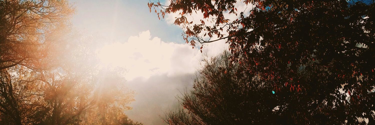 McLakyoCC's profile banner image