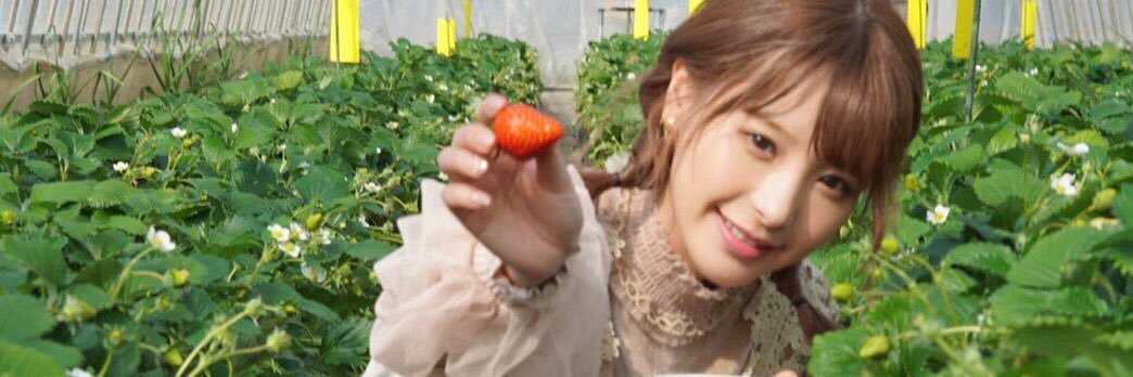 19641206sm's profile banner image