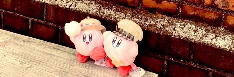 flapkira's profile banner image