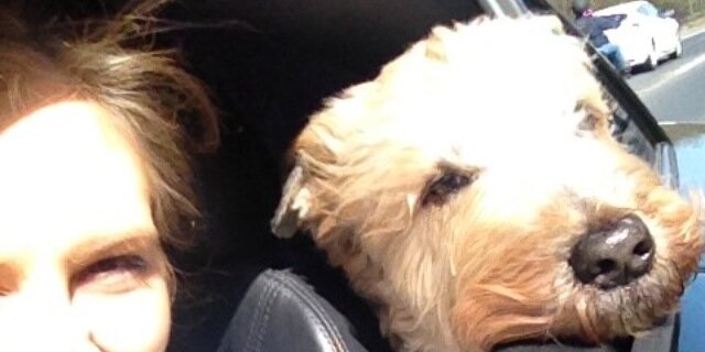 Millie_ac's profile banner image