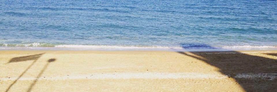 David Le Monnier banner