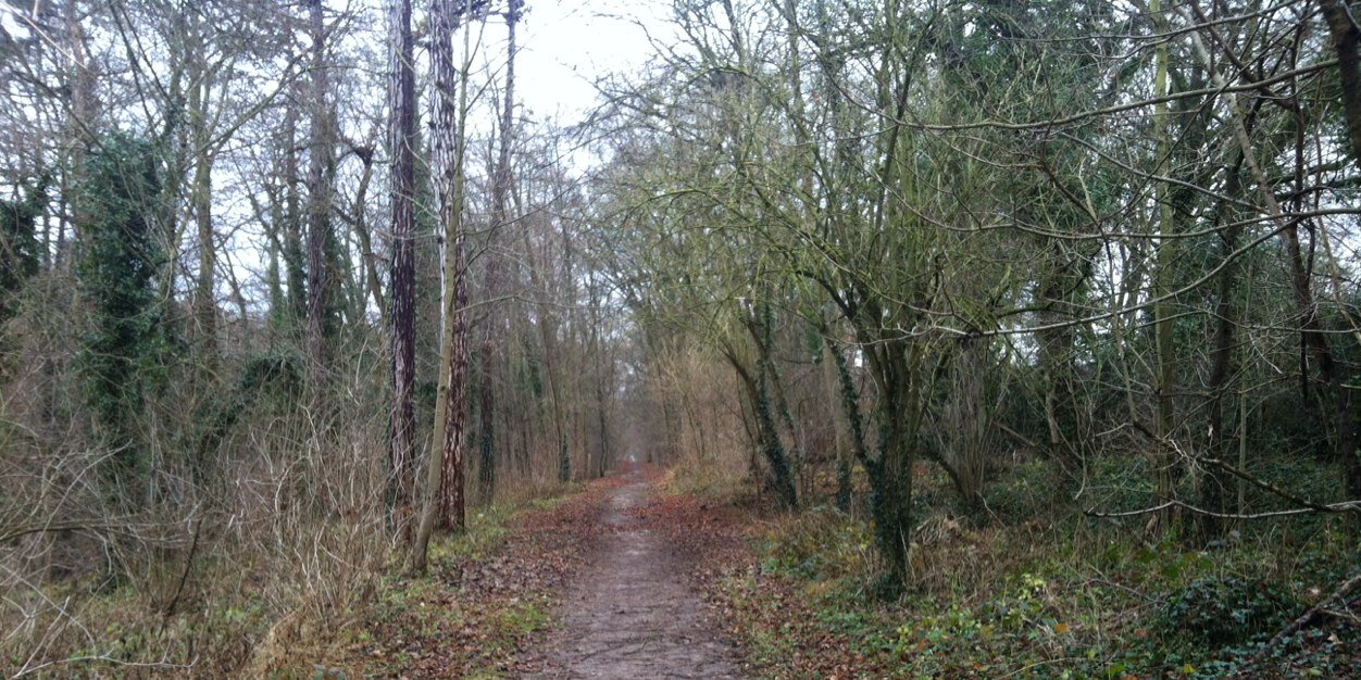 Pierre Gerbeaud banner