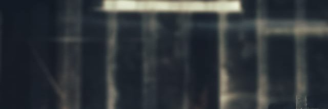 CapitánMapache banner