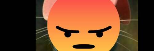 ChefcitoPaul's profile banner image