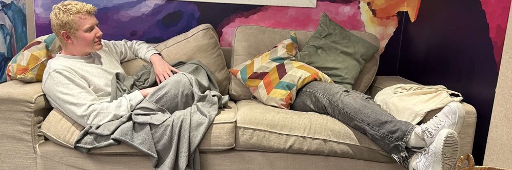 TheLittleOwl3's profile banner image