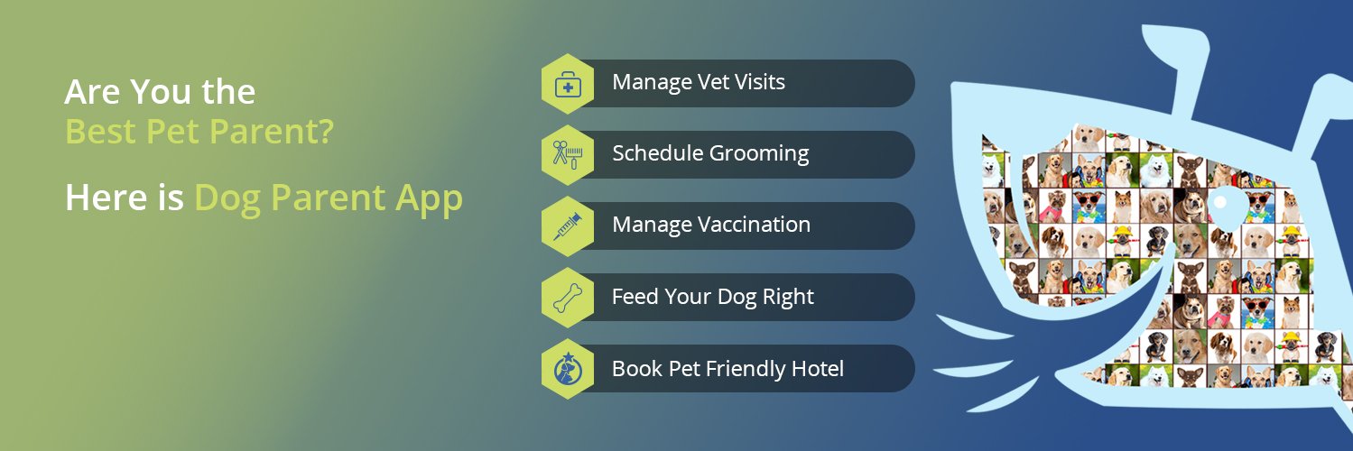 BarkilyApp's profile banner image