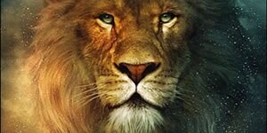 Braxton727's profile banner image