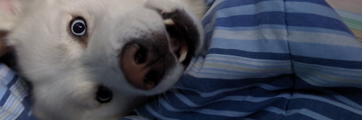 MskdEnigma's profile banner image
