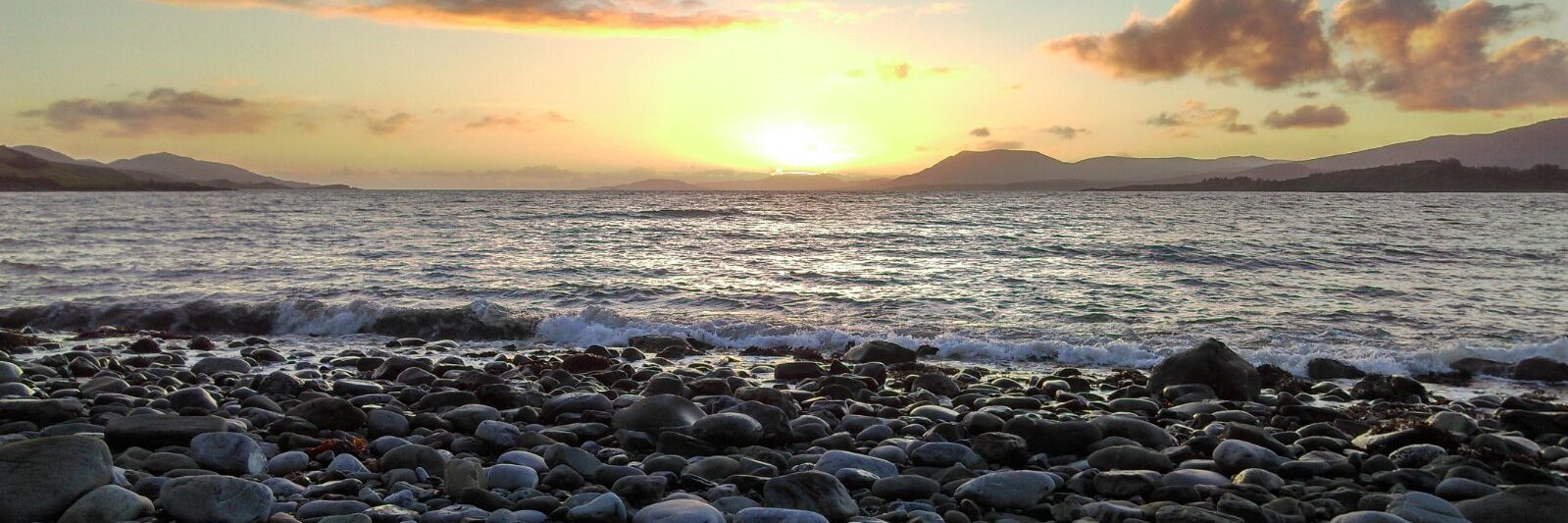 Gráinne McCarthy banner