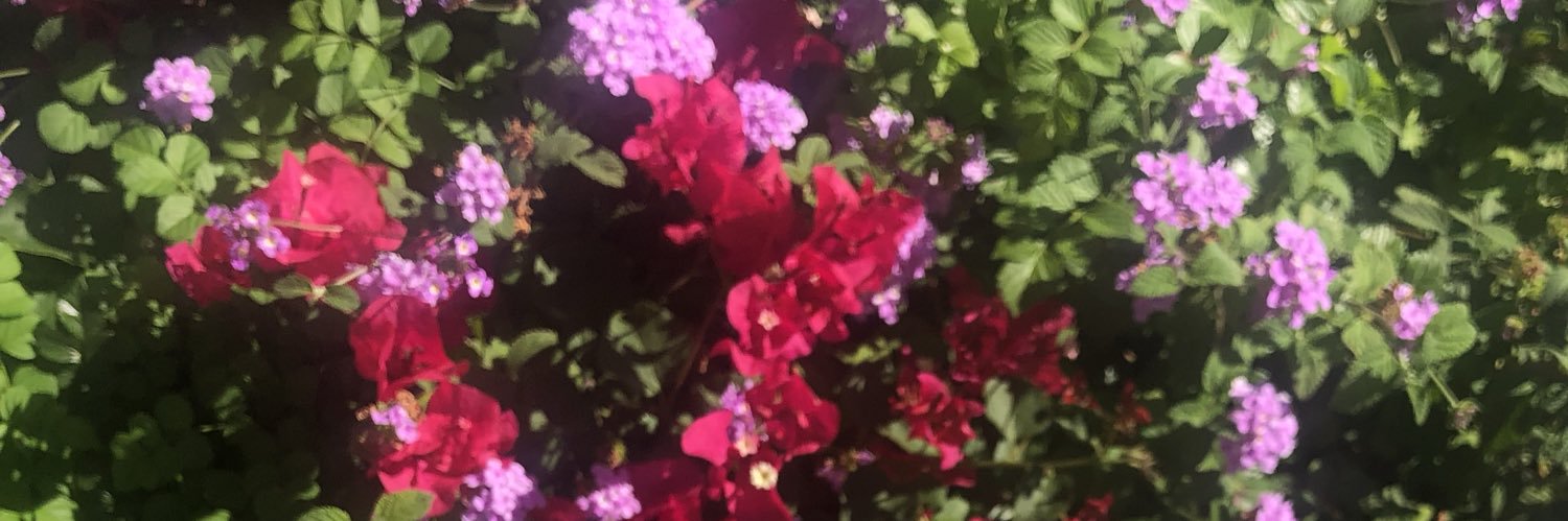 vittinaa's profile banner image