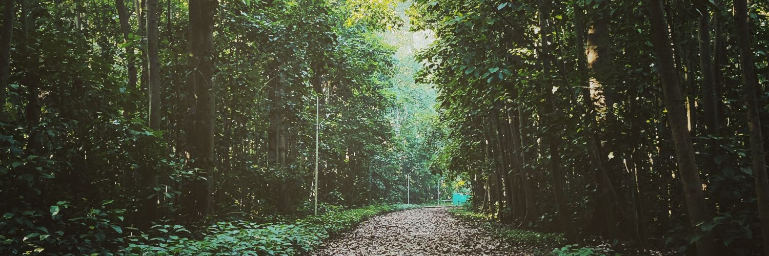 MuthuIFS's profile banner image