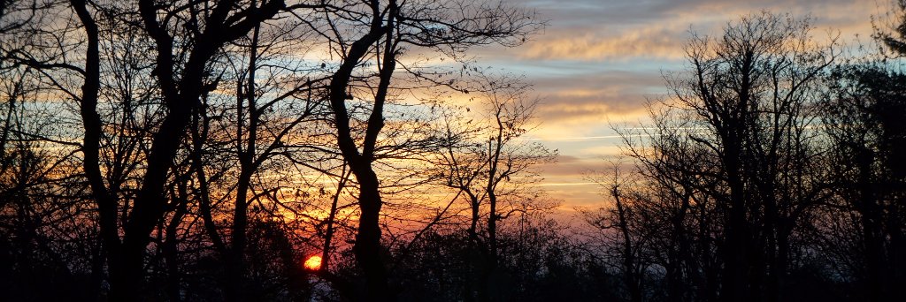 advanderlinde's profile banner image