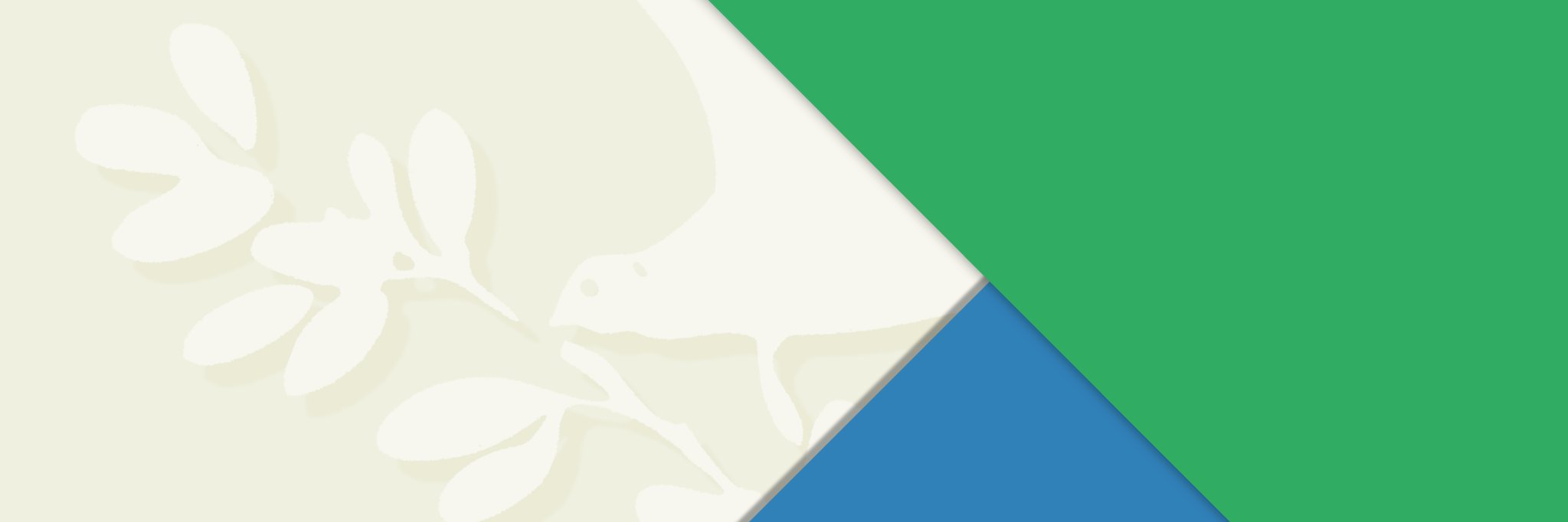 Teleradiopace's profile banner image