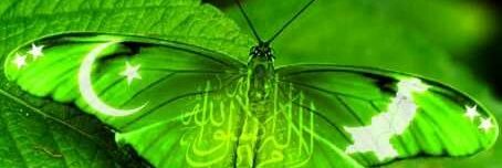 uzmaehsan123's profile banner image