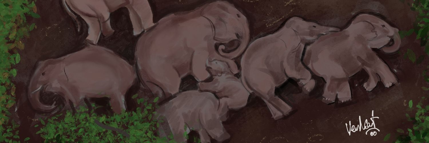 venkat_logan's profile banner image