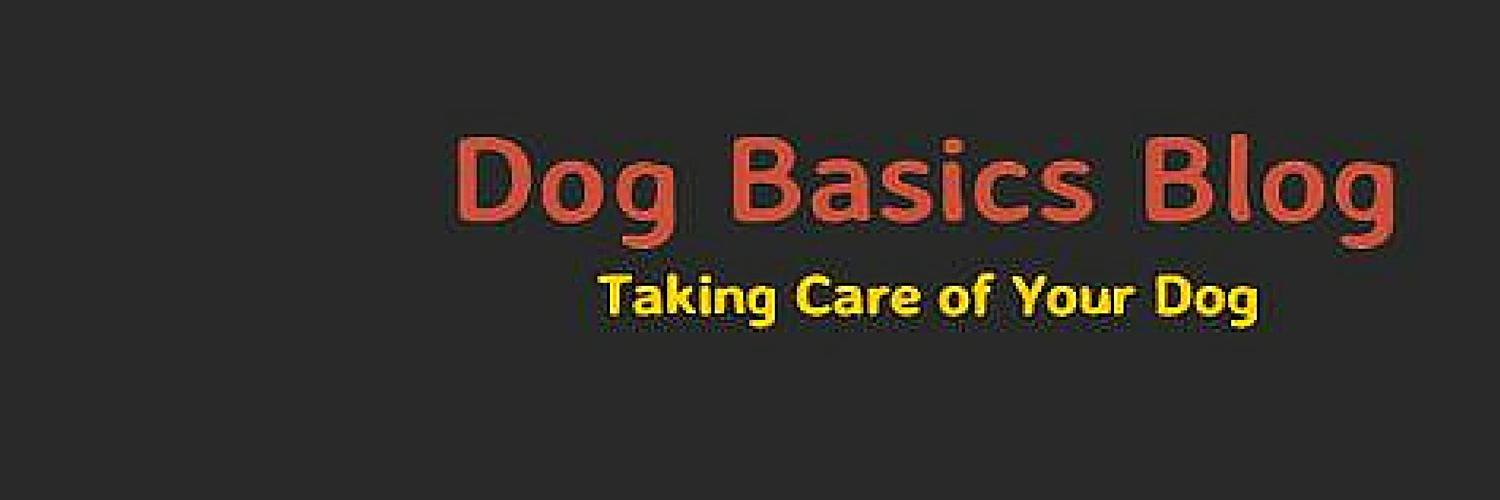 Dog Basics Blog on Twitter "https//t.co/coi0SG7bLX"