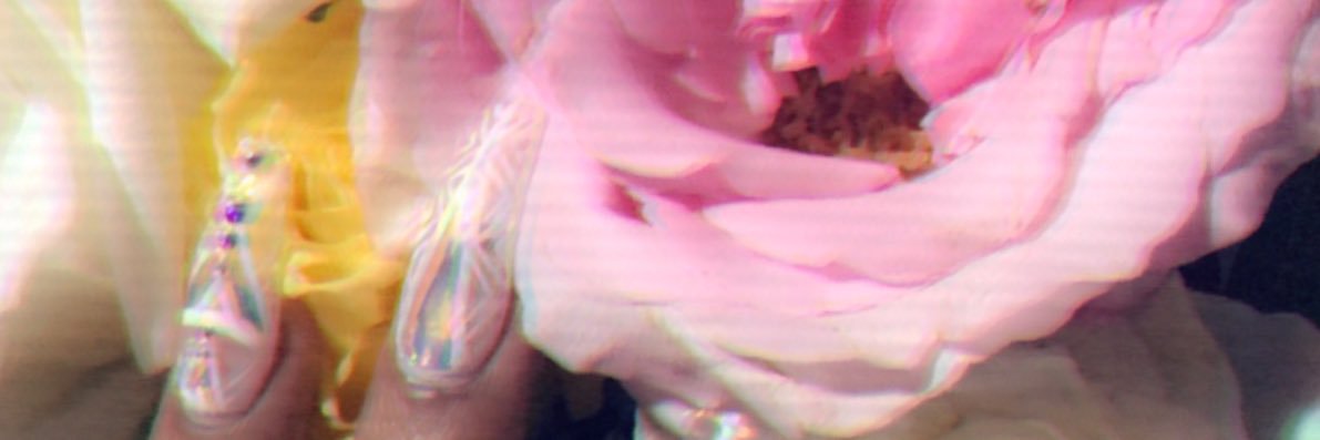 danyell_dash's profile banner image