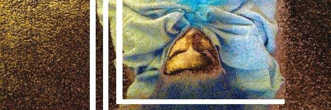 Tania Pryputniewicz banner