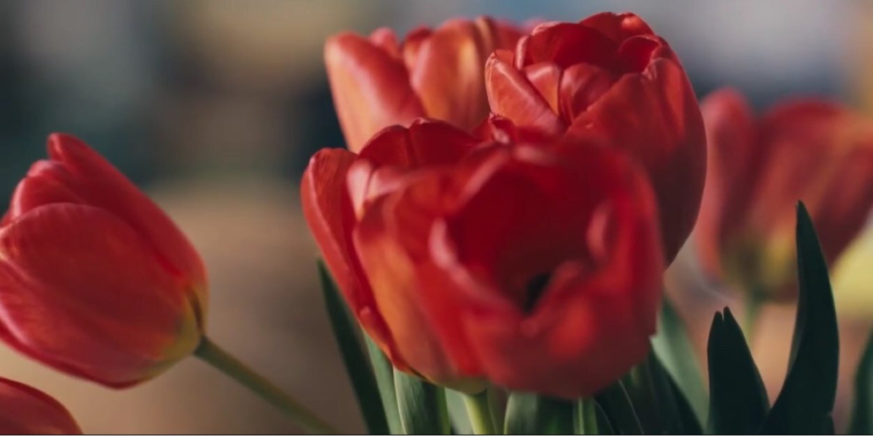 glennystan's profile banner image