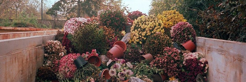 ThiWar_'s profile banner image