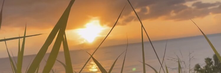 Mlf32's profile banner image