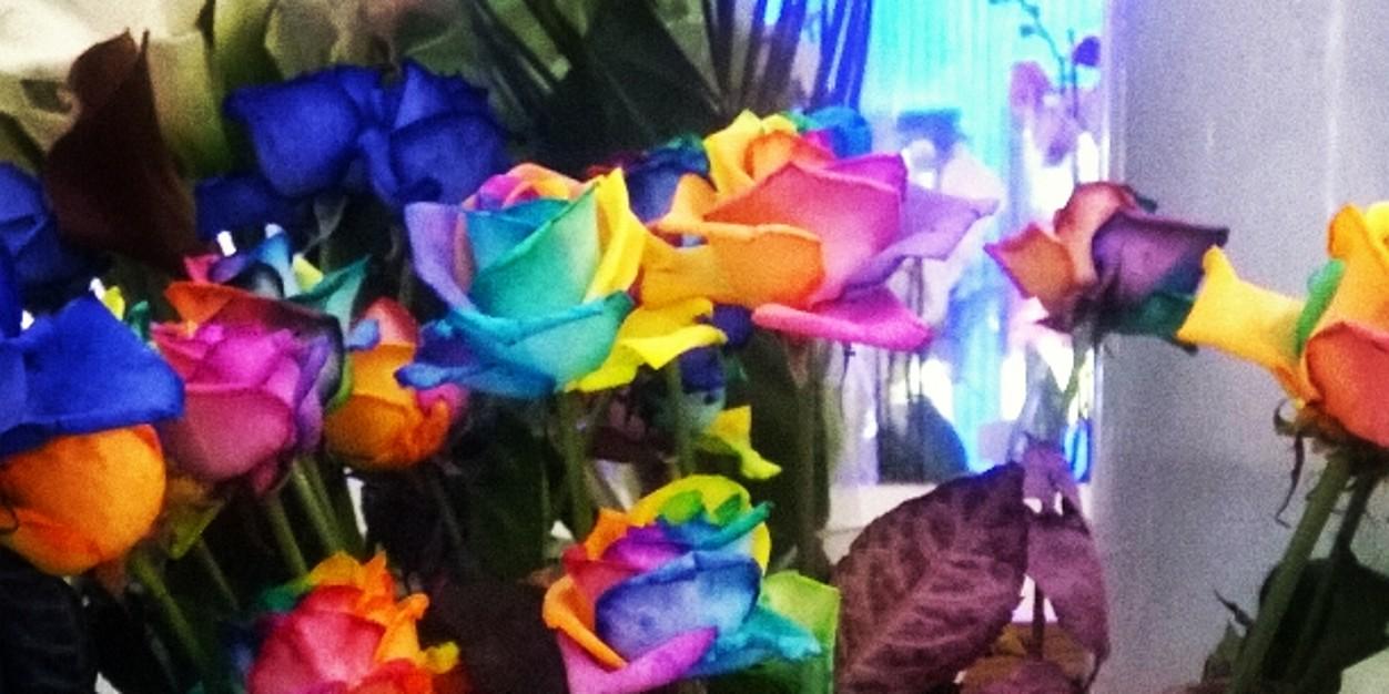 katiecake92's profile banner image