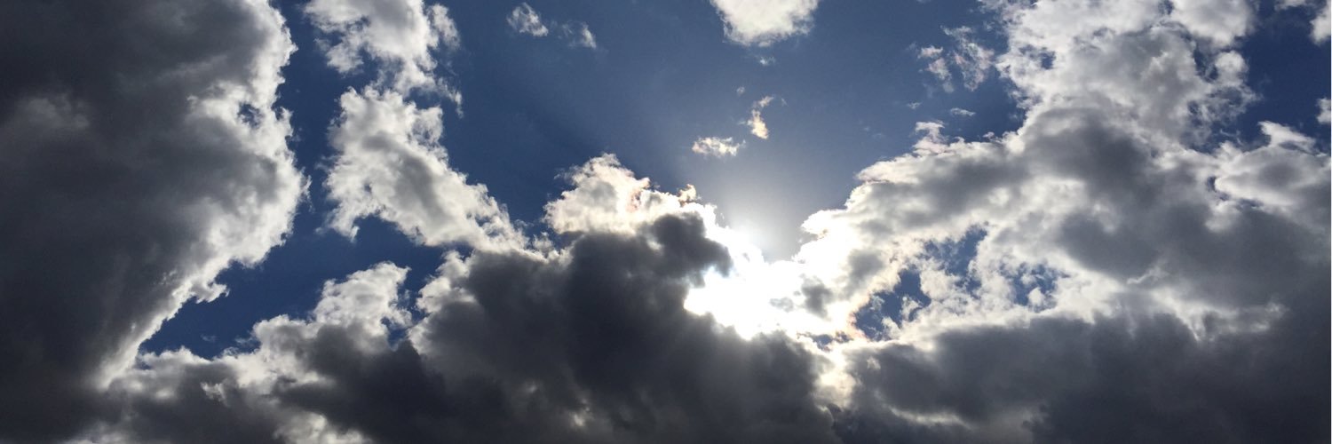 MuSpring41's profile banner image