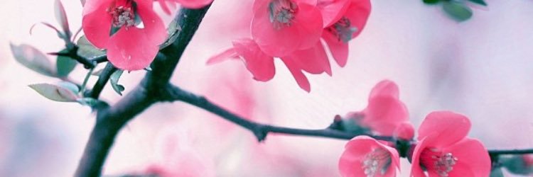 Q30Foo's profile banner image